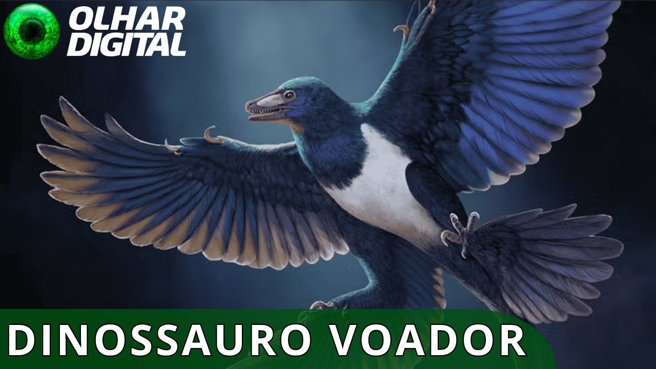 Novo dinossauro com penas pode mudar o que sabemos sobre a origem do voo