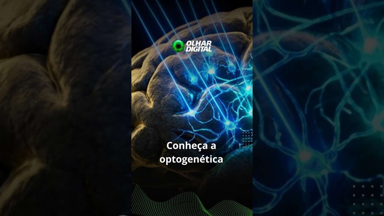 Prêmio Nobel da Medicina: como uma alga ajudou cientistas a criar um “interruptor” para o cérebro