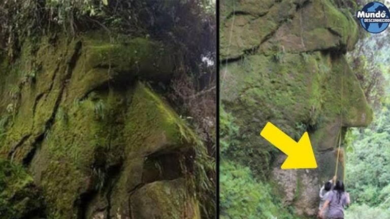 3 DESCOBERTAS FORA DO NORMAL FEITAS RECENTEMENTE NA AMAZÔNIA