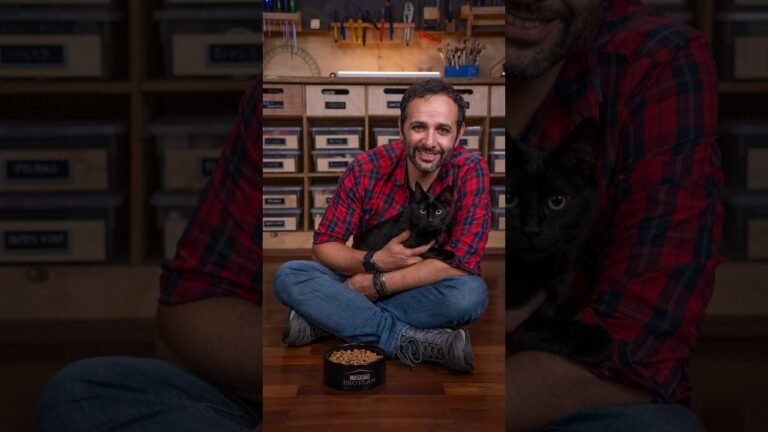 A COMIDA do GATO pode diminuir a ALERGIA das pessoas?
