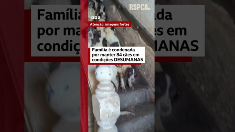 Família britânica é condenada por manter 84 cães em condições desumanas