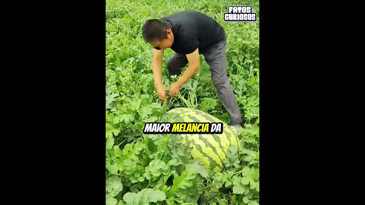 APÓS DURAS CRÍTICAS ESSE HOMEM SURPREENDEU A TODOS