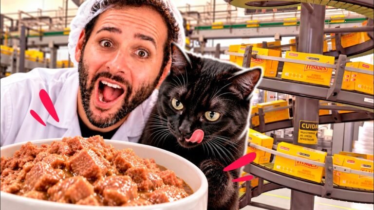 COMO é FABRICADA a COMIDA do seu PET? #Boravê