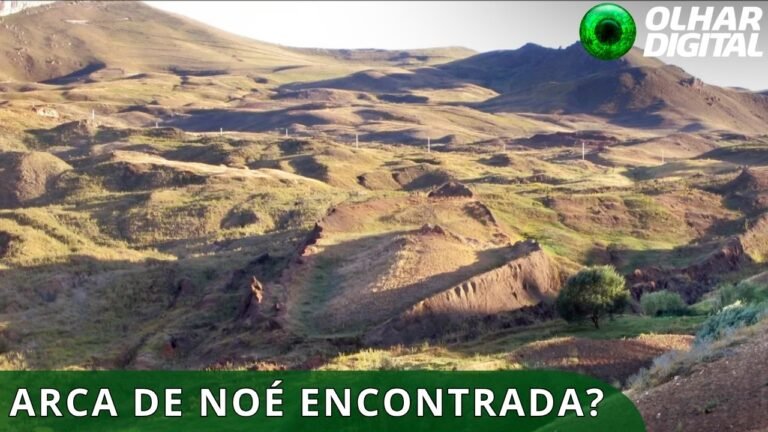 DOMINGO ARCA DE NOÉ HORIZONTAL