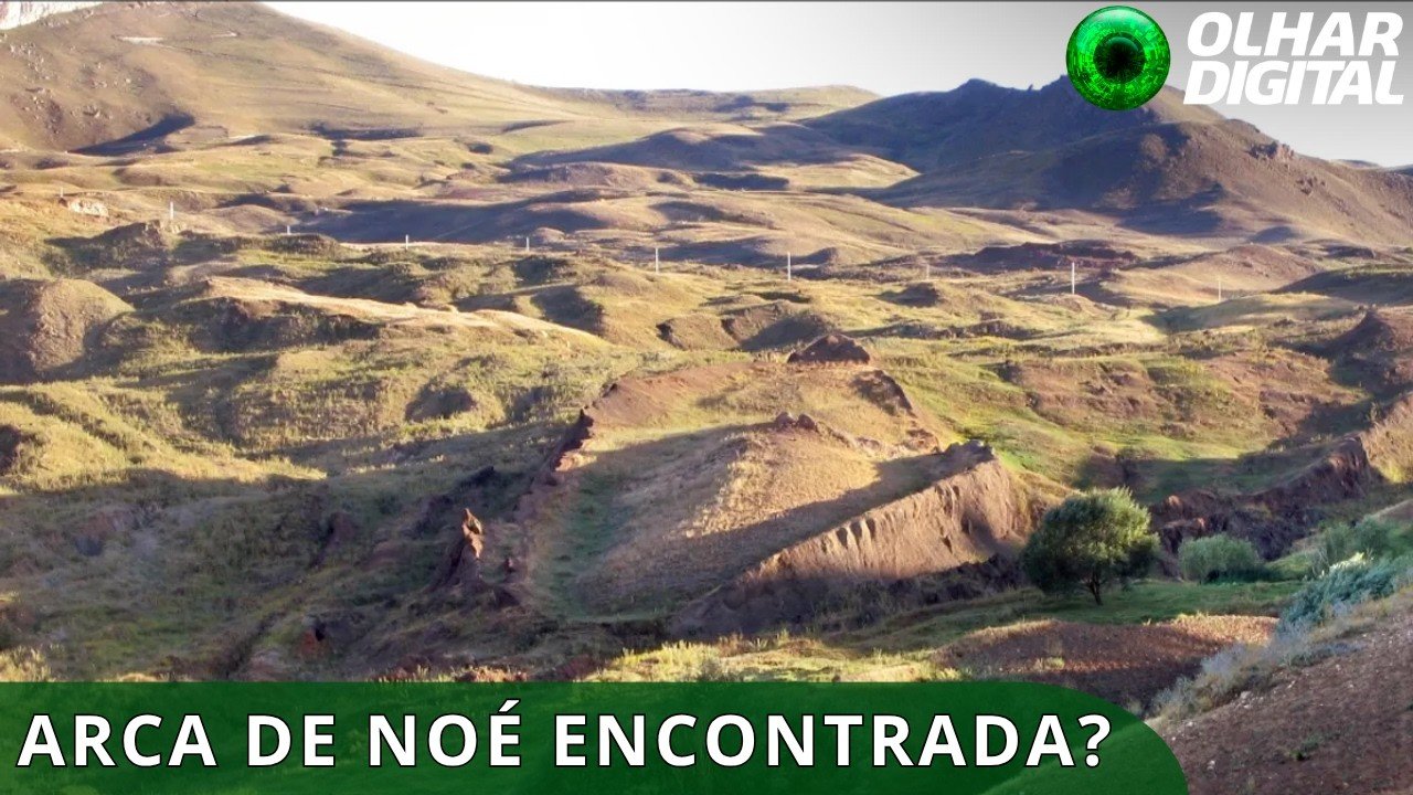 DOMINGO ARCA DE NOÉ HORIZONTAL