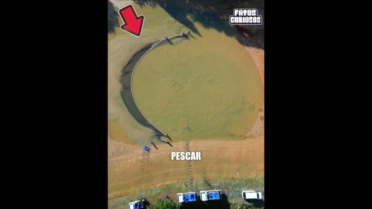 ESSE PEQUENO LAGO ESCONDIA UMA ENORME FORTUNA