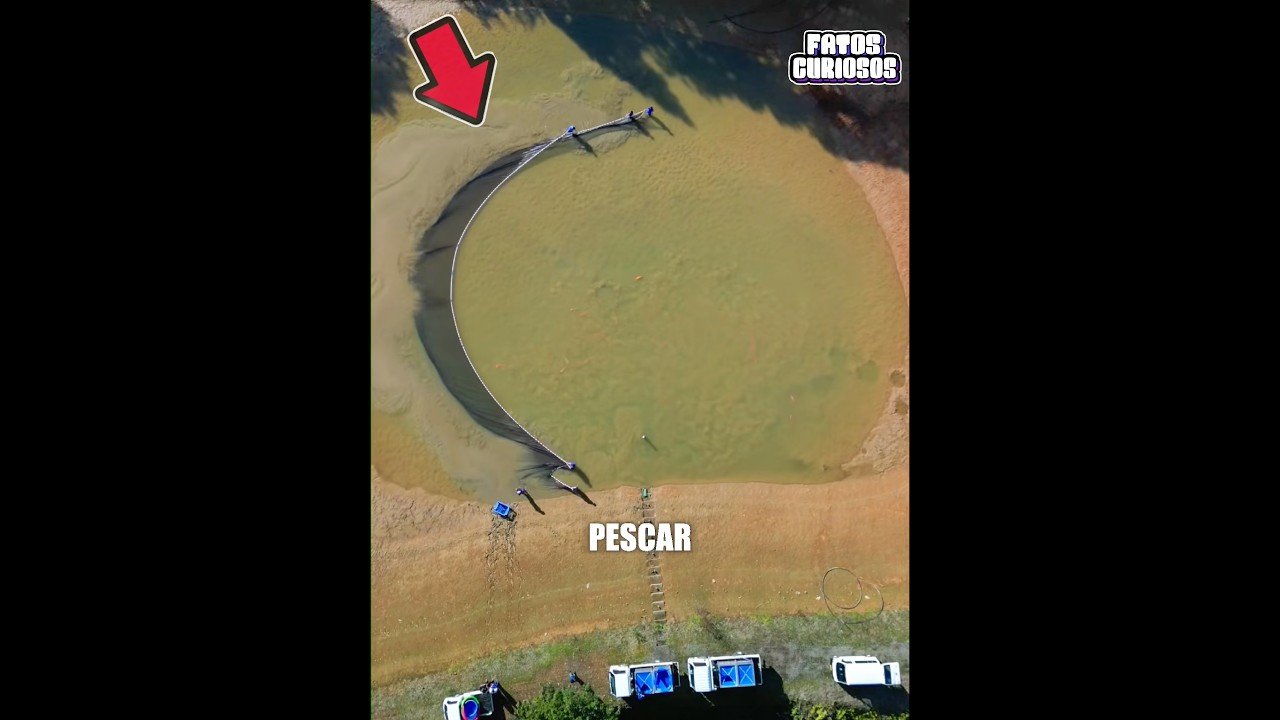 ESSE PEQUENO LAGO ESCONDIA UMA ENORME FORTUNA