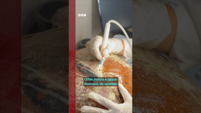 A impressionante descoberta do naufrágio mais antigo do mundo na costa da Turquia