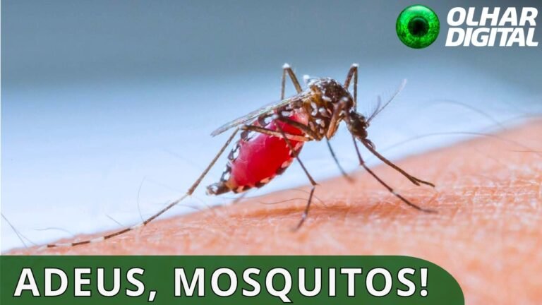 Startup chinesa cria dispositivo que usa IA e lasers para "caçar" mosquitos
