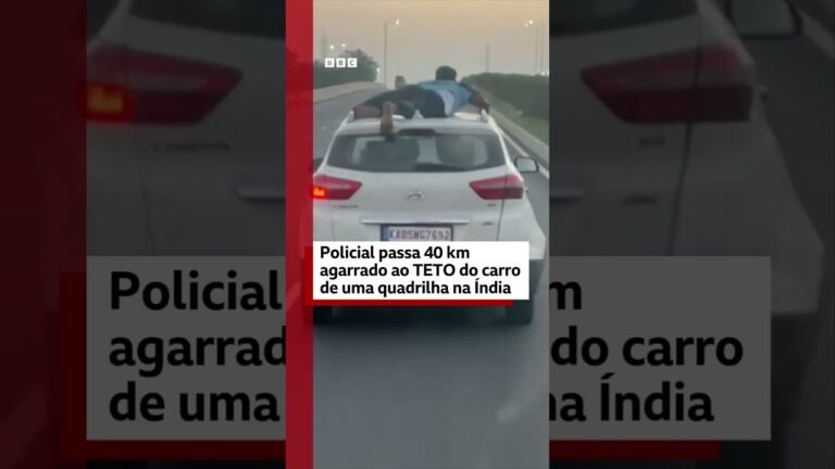stitch policial teto do carro